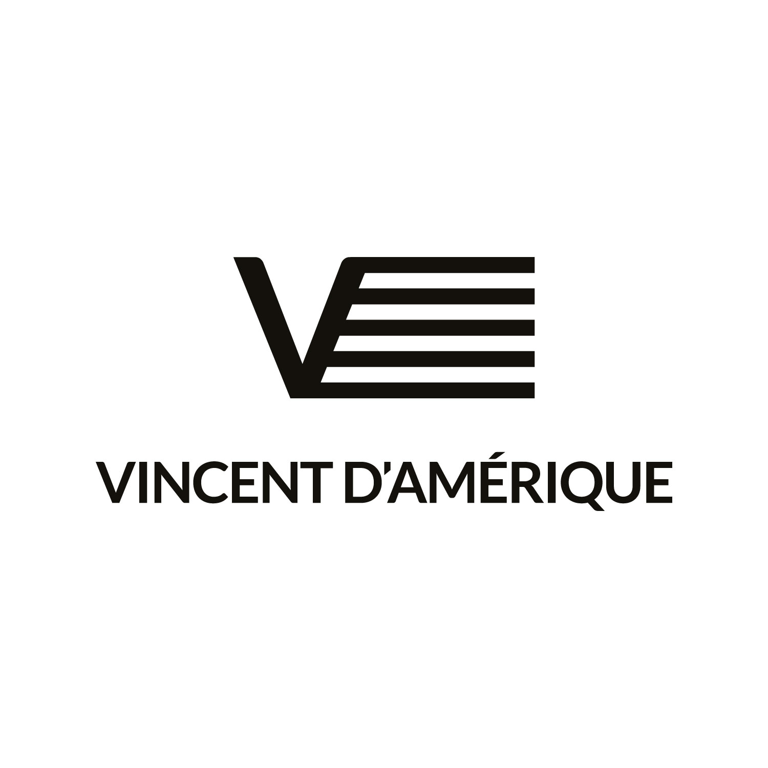 Vincent-damerique-e-commerce